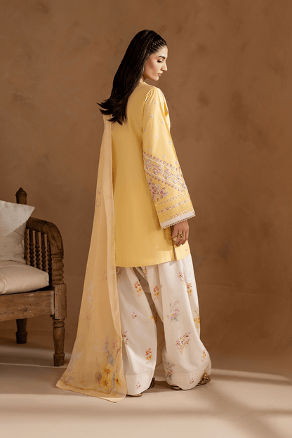 Zarnish Noor - LIBASENISA